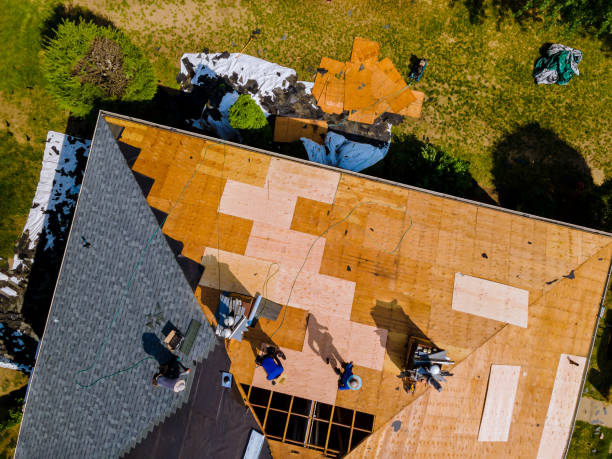 Best Commercial Roofing Services  in Siesta Acres, TX