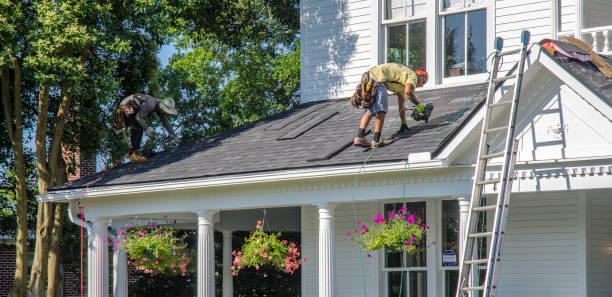 Best Metal Roofing Contractor  in Siesta Acres, TX